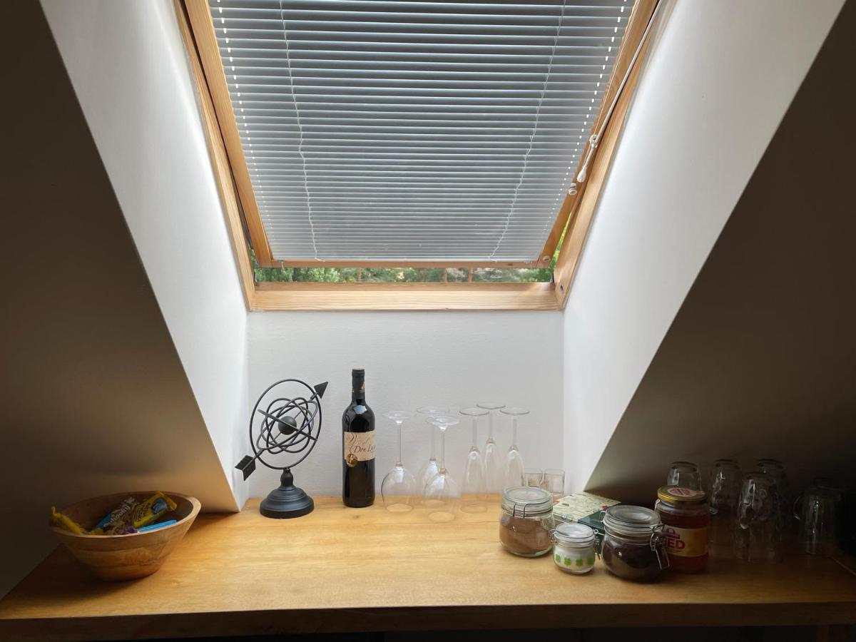 Apartmany Polska 12 奥洛穆茨 外观 照片